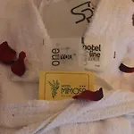 Hotel Mimosa 3*
