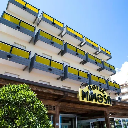 酒店 Mimosa