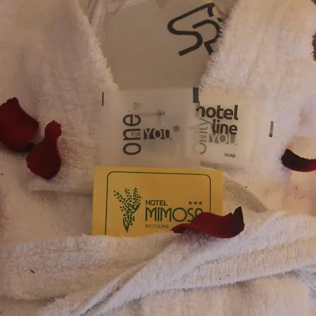 酒店 Mimosa 3*